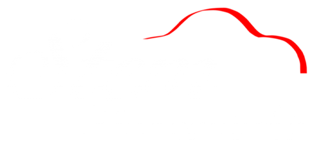 Stem Photography Logo